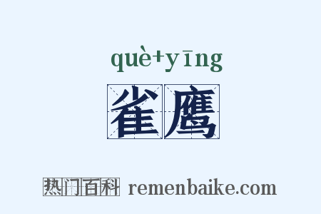 雀鹰是什么意思的图片